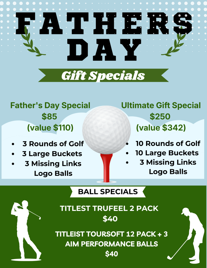 Green and Light Blue Modern Golf Tournament Flyer